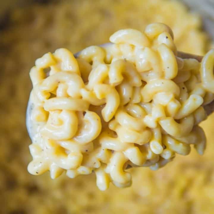 Creamiest Instant Pot Mac and Cheese!⁣
⁣
Having a toddler at home means being prepared to throw together a giant batch of creamy mac and cheese at any given moment. This is my go to recipe! Extra cheesy and not about me at all...⁣
; )⁣
⁣
Link in Bio!
